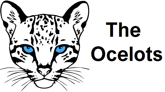 The Ocelots Unicycle Hockey Team